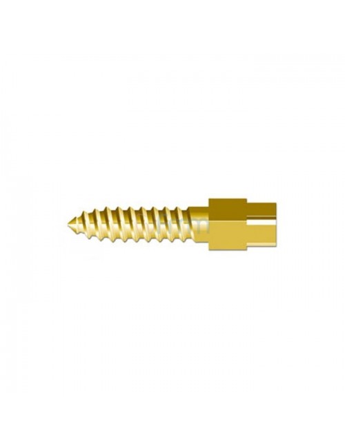 SCREW-POST GOLD PLATED R&S LG 11, 8MM N°6 DIAM.1,80 MM, BOITE DE 12