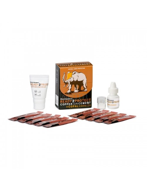 READY2PROTECT CIMENT CUIVRE 10 SACHETS DE 1 G+ 5 ML+5 ML VERNIS COPAL