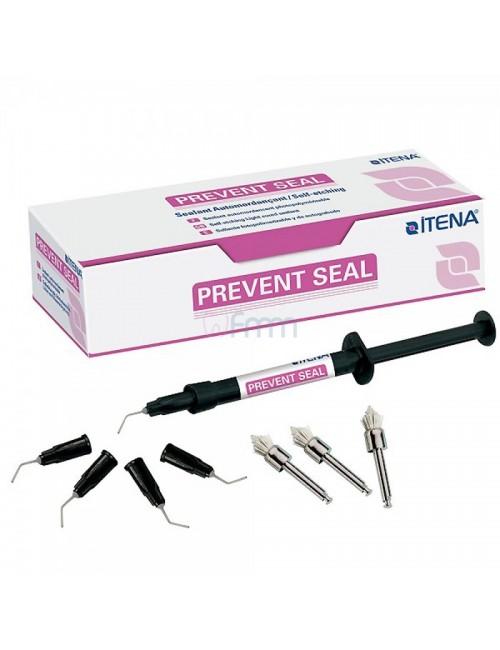 COMPOSITE SCELLEMENT PUITS ET FISSURE PHOTO. PREVENT SEAL 1 SER. 1,2 ML+10 EMBOUTS+3 BROSSETTES